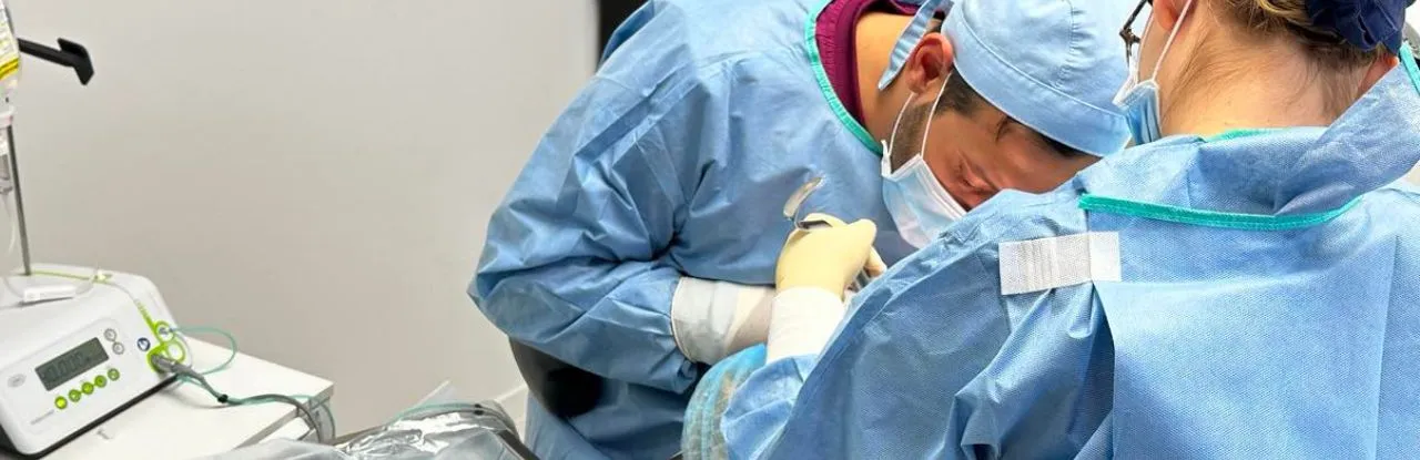 Dental Implant Costs and Procedures at Phoenix Dental Hungary